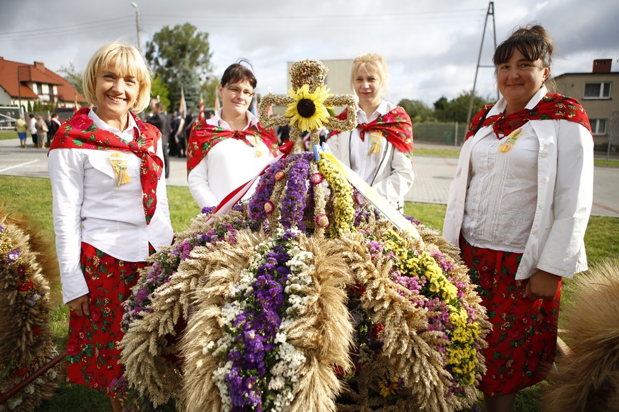 Dożynki wojewódzkie 2015, fot. Mikołaj Kuras