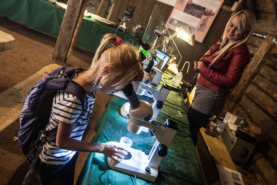 Festyn Archeologiczny w Biskupinie, 17.09.2015, fot. Andrzej Goiński