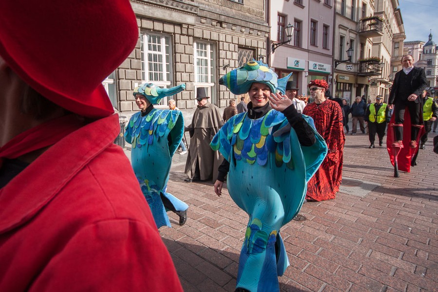 Fot. Szymon Zdziebło/tarantoga.pl