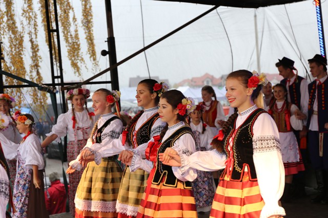 Otwarcie Ogrodu Edukacyjnego "Rycykowy Zakątek" w Kowalu, fot. Gostynińsko-Włocławski Park Krajobrazowy