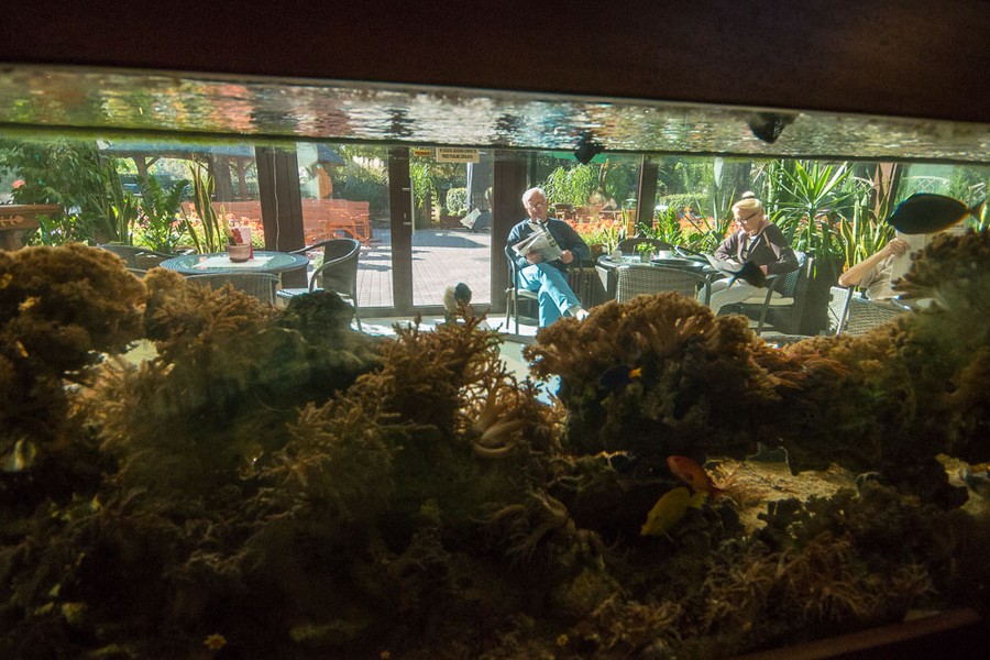 Sanatorium Przy Tężni, fot. Szymon Zdziebło/tarantoga.pl