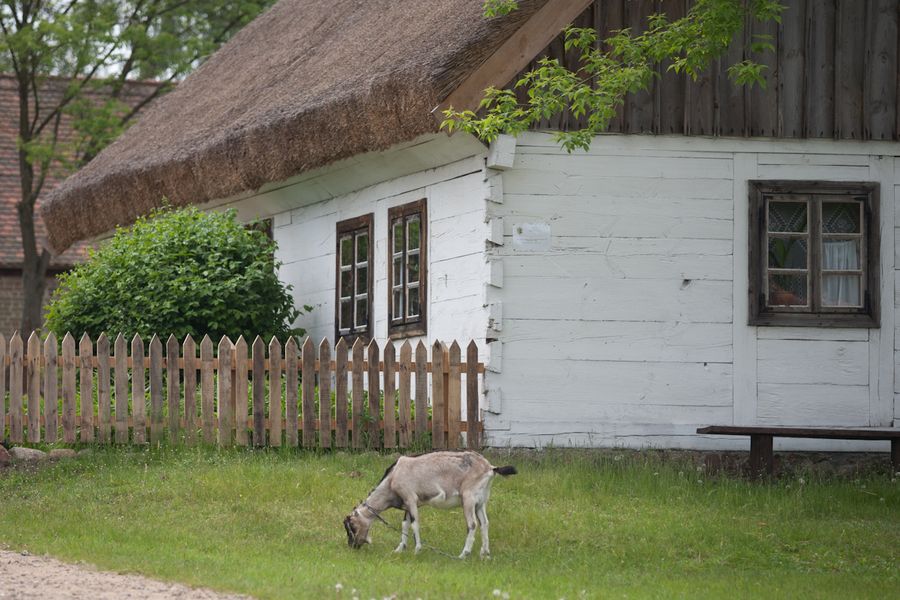 Fot. Andrzej Goiński