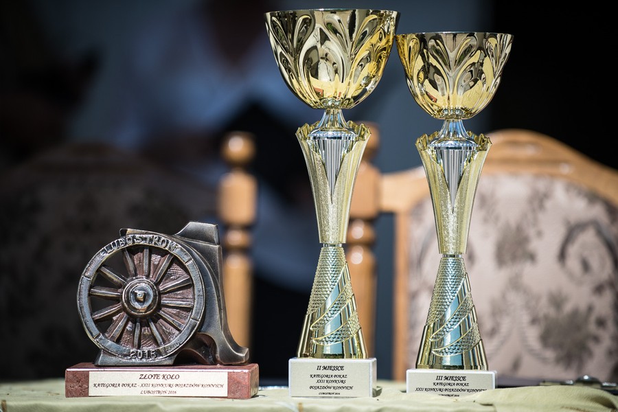 XX Konkurs Pojazdów Konnych, fot. Tymon Markowski