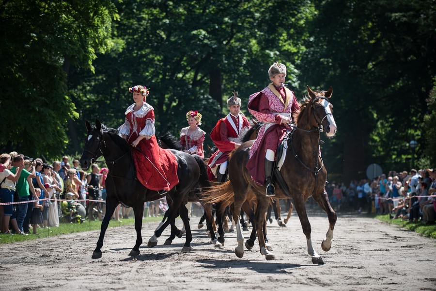 XX Konkurs Pojazdów Konnych, fot. Tymon Markowski