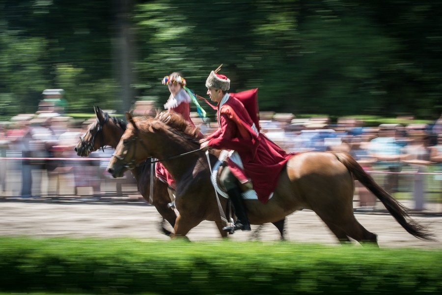 XX Konkurs Pojazdów Konnych, fot. Tymon Markowski