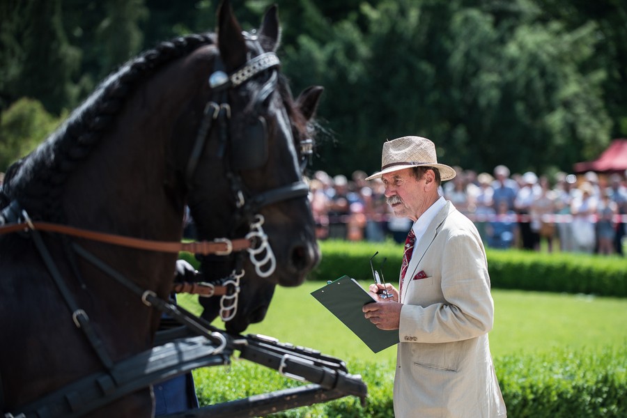 XX Konkurs Pojazdów Konnych, fot. Tymon Markowski