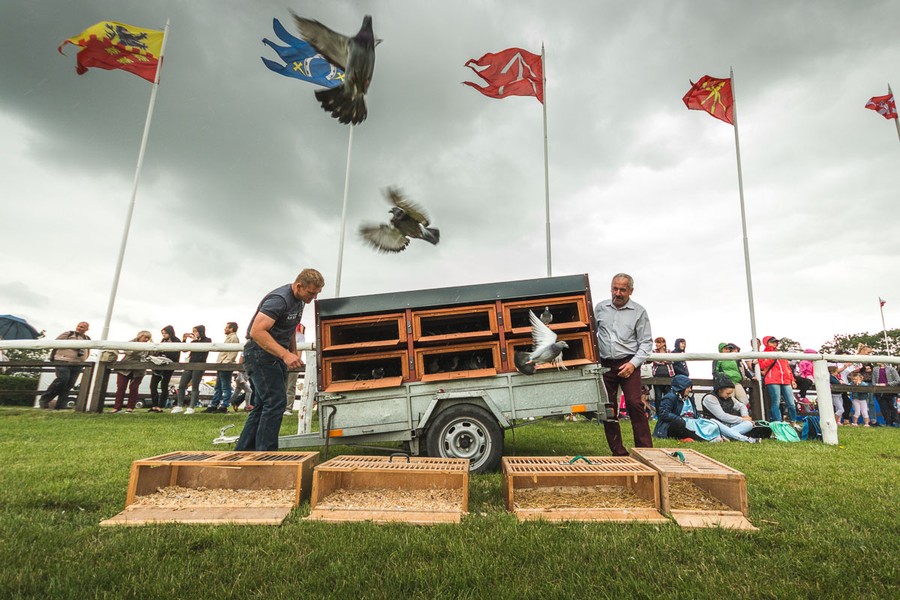 Turniej rycerski w Golubiu-Dobrzyniu, fot. Szymon Zdziebło/tarantoga.pl