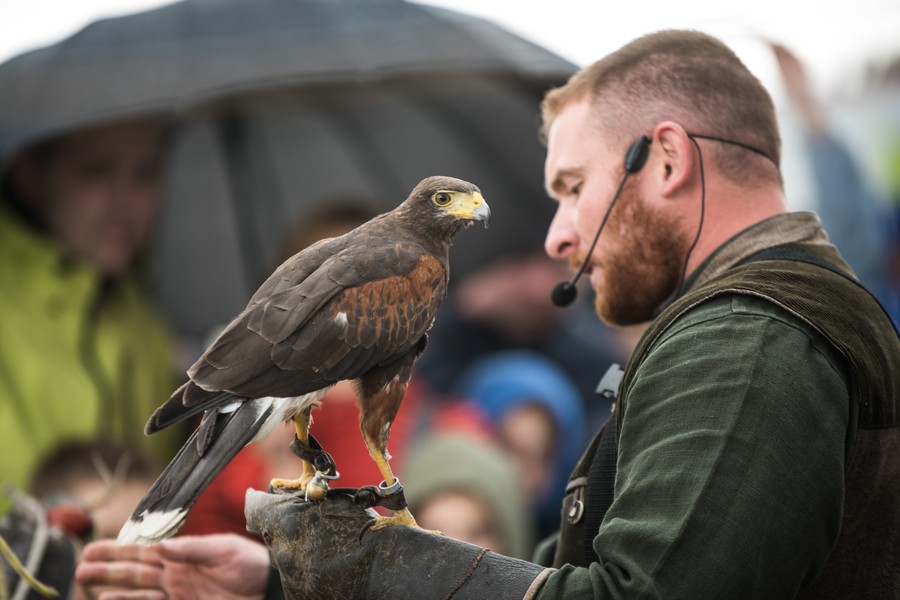 Jarmark Cysterski, fot. Tymon Markowski