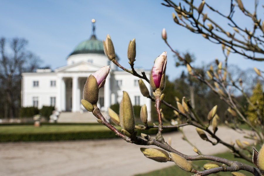 Pałac Lubostroń, fot. Tymon Markowski
