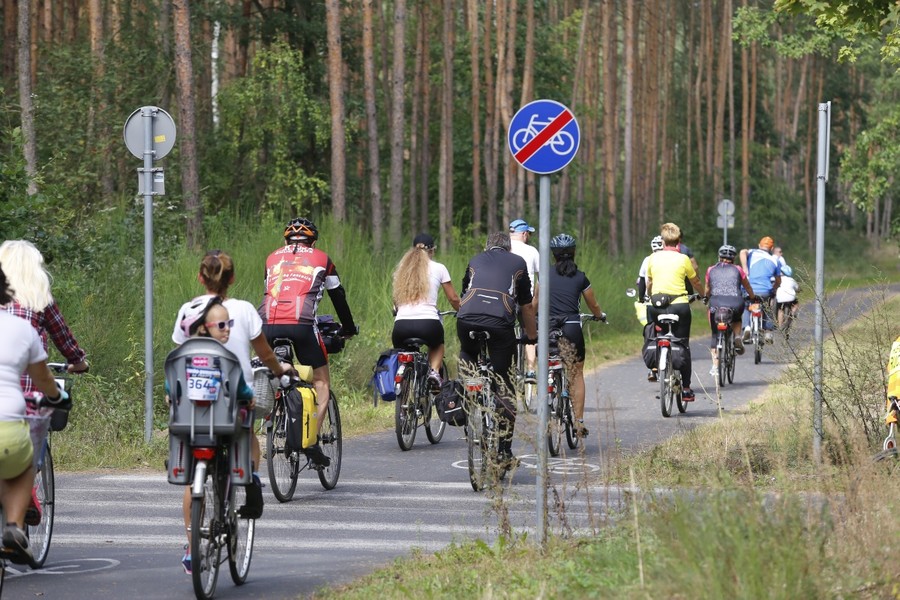 Rodzinny rajd rowerowy w Toruniu, fot. Mikołaj Kuras