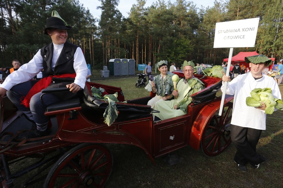 17.09.2016r., Święto Kapusty w Brukach Unisławskich, fot. Mikołaj Kuras