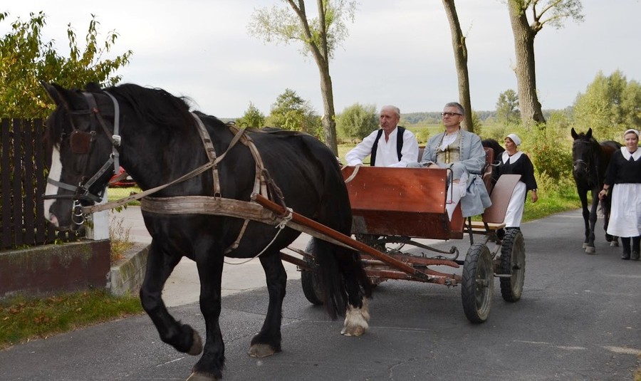 Konferencja ,,Olędrzy-osadnicy znad Wisły. Sąsiedzi bliscy i obcy”. Fot. Jacek Bogucki i Dariusz Gąsiorowski