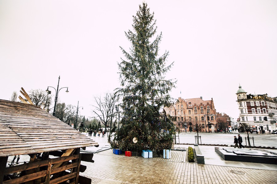 Świąteczne dekoracje przed Urzędem Marszałkowskim, fot. Andrzej Goiński