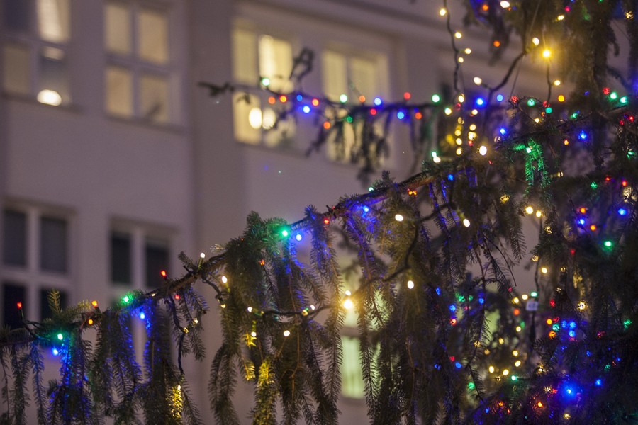 Świąteczne dekoracje przed Urzędem Marszałkowskim, fot. Andrzej Goiński